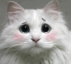 Kiska1