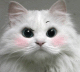 Kiska3